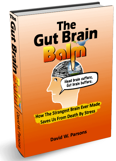 Gut Brain Balm book cover art
