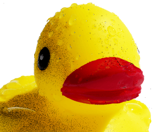 rubber duck takes a bath