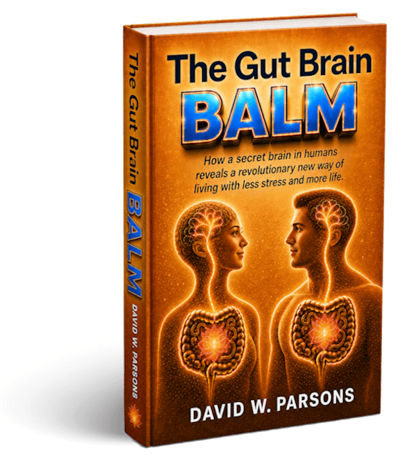 Gut Brain Balm book cover art