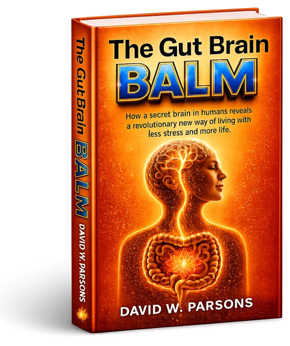 Cover design for my new book "THE GUT BRAIN BALM"